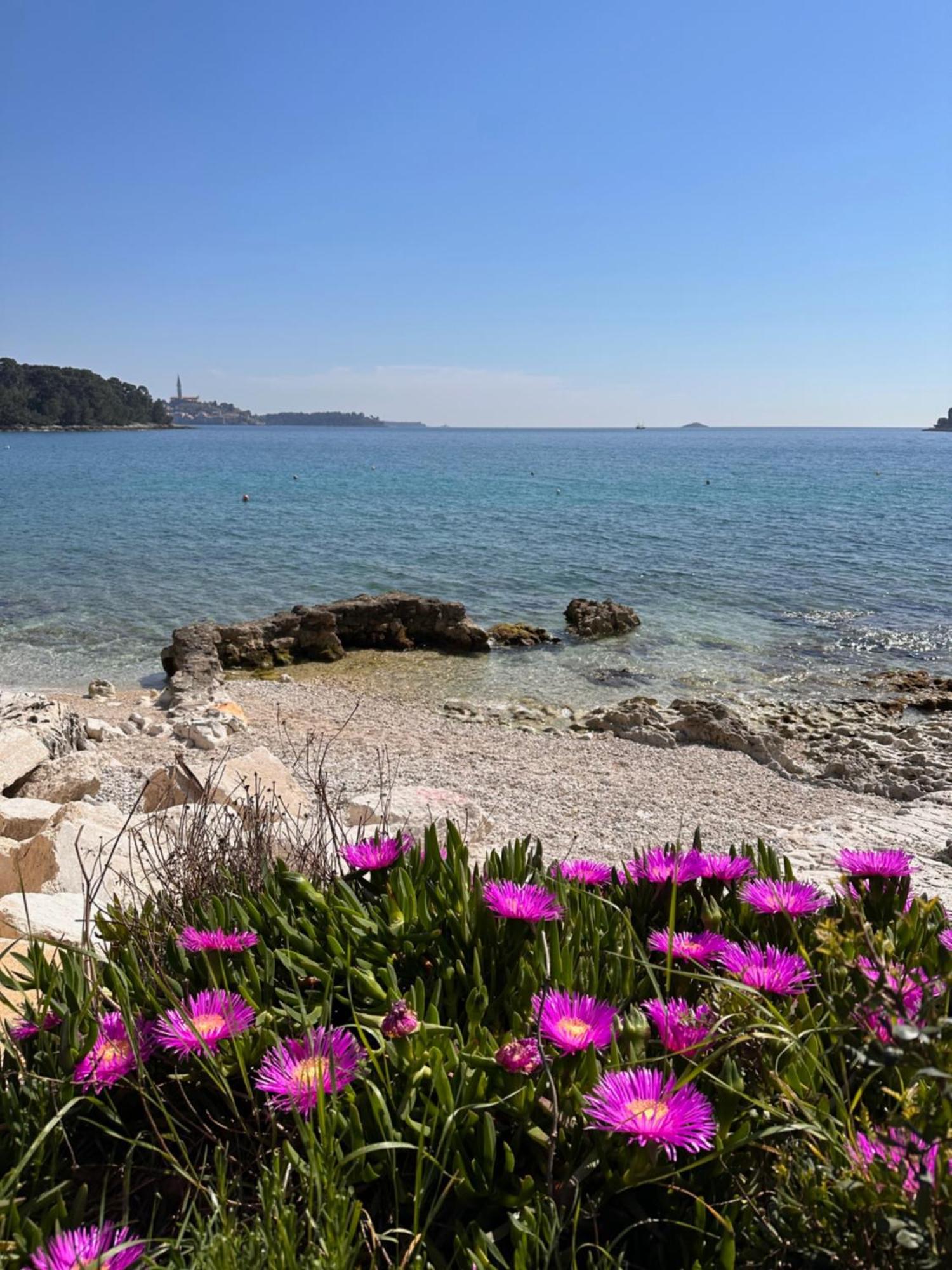 Villa Anthony Rovinj Zewnętrze zdjęcie