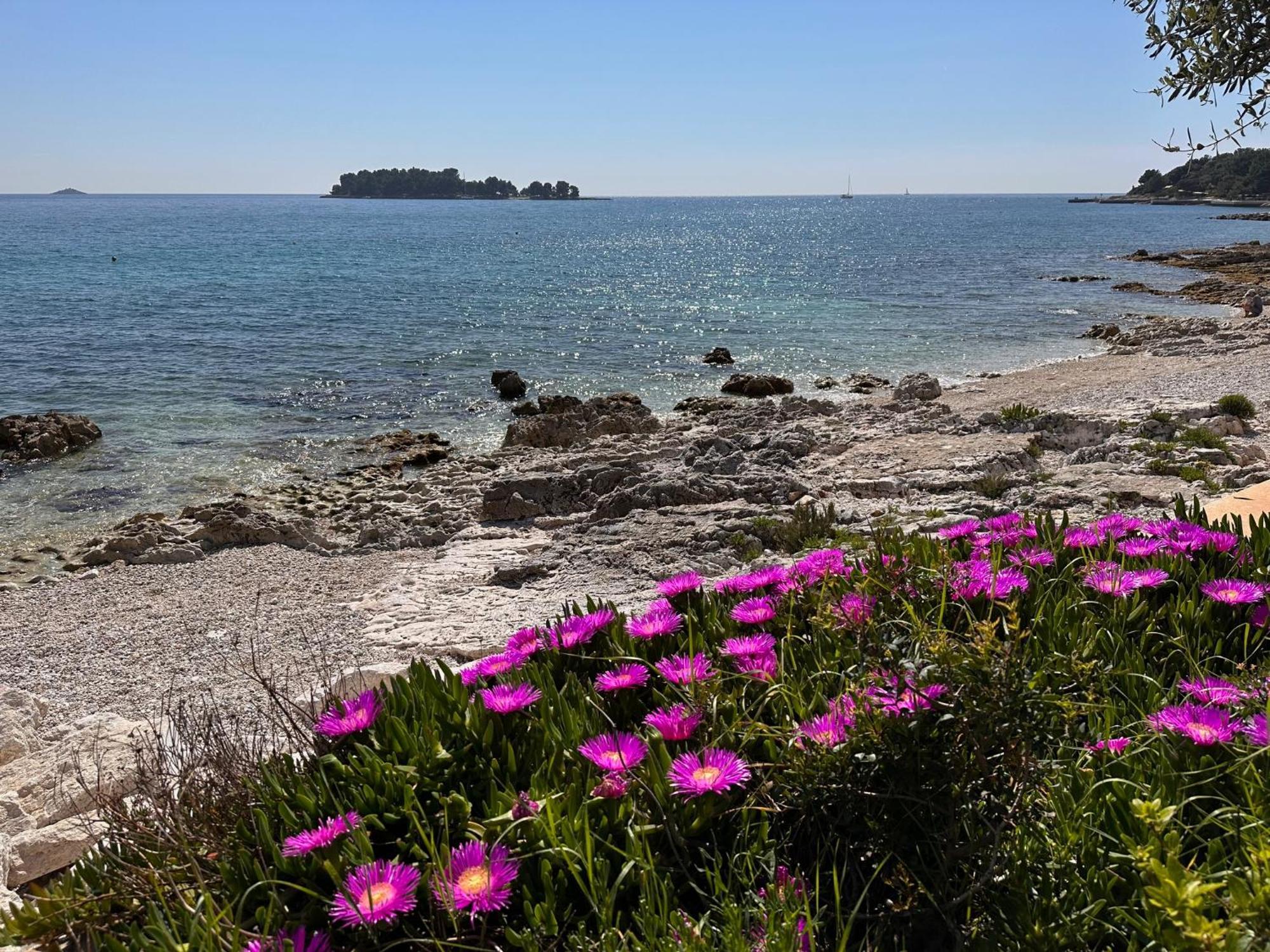 Villa Anthony Rovinj Zewnętrze zdjęcie