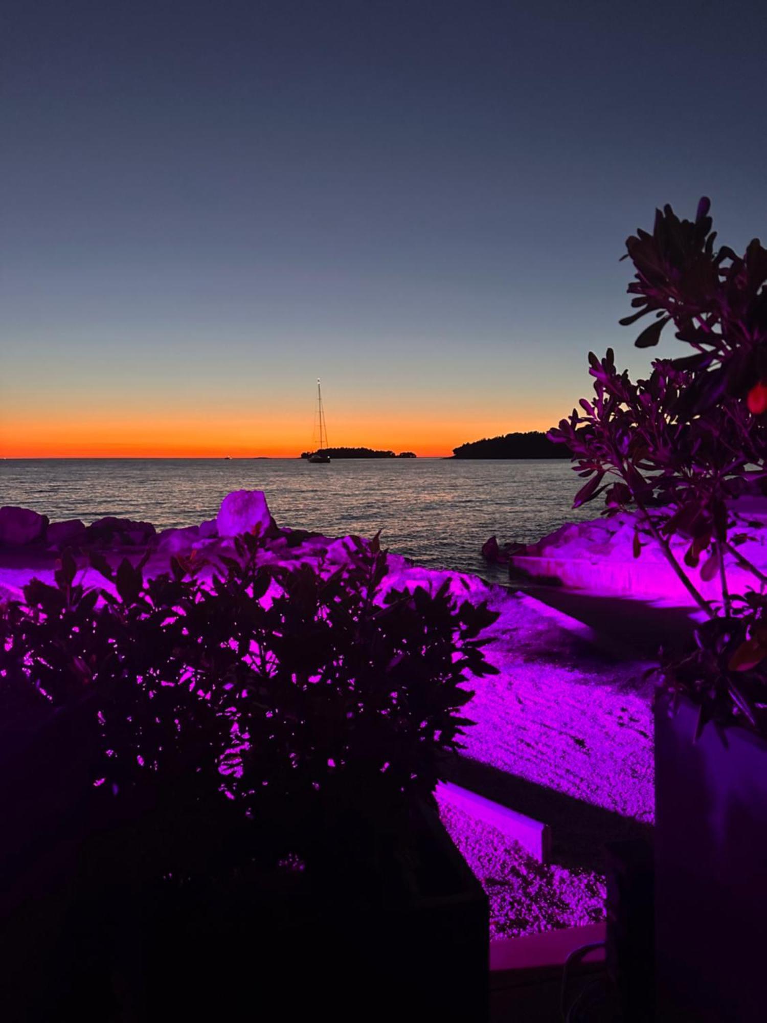 Villa Anthony Rovinj Zewnętrze zdjęcie